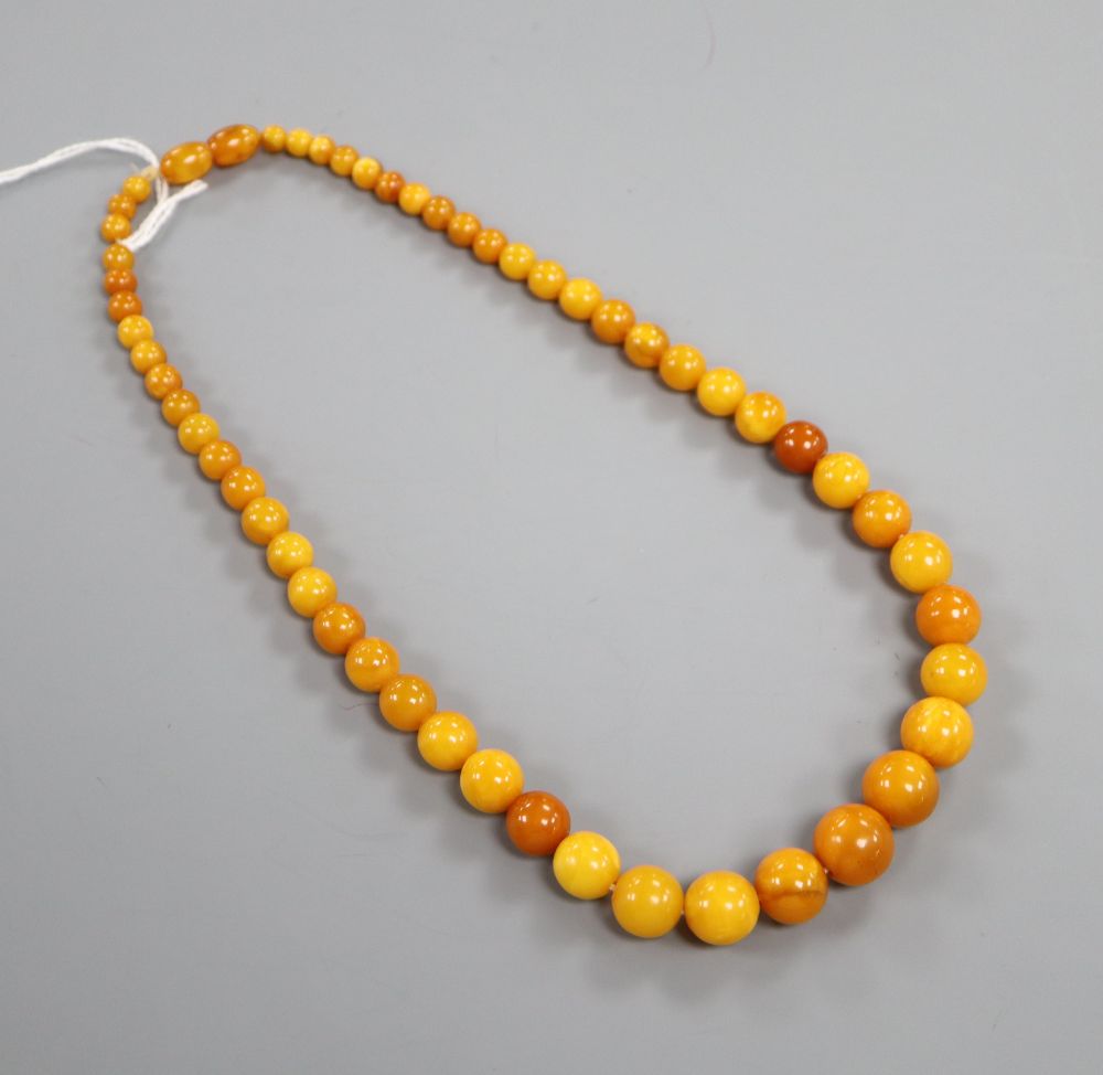 A single strand graduated amber bead necklace, 44cm, gross weight 23 grams,